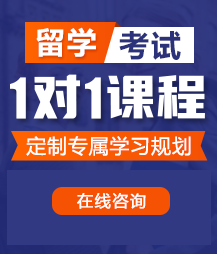 日韩老阿姨大操逼留学考试一对一精品课